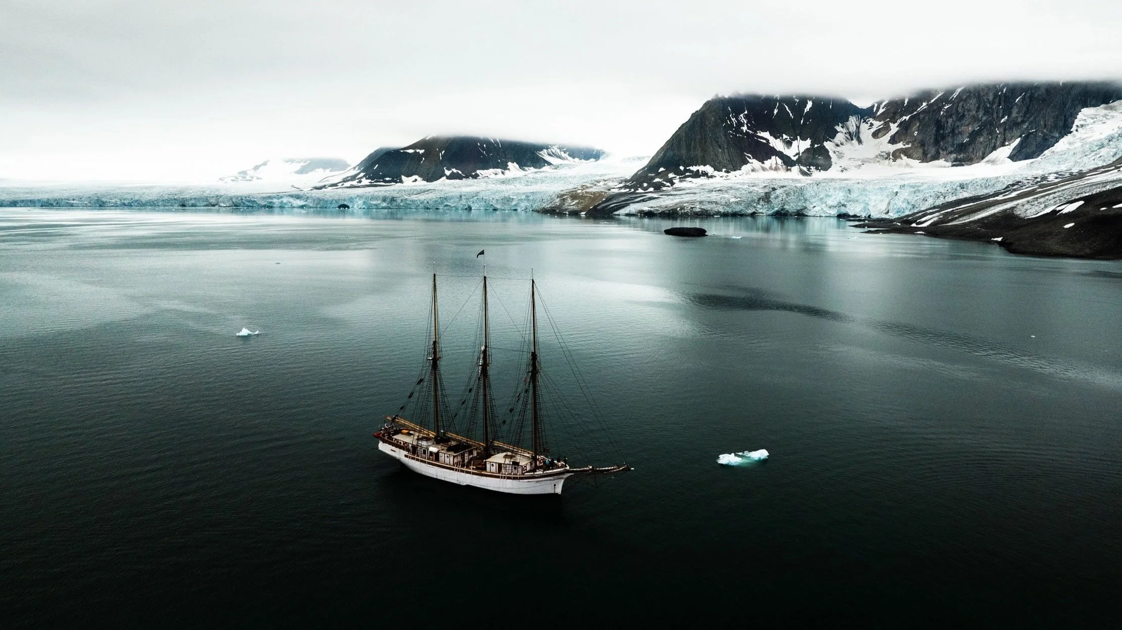 その他 GREENLAND Oldest DNA reveals ecosystem in Greenland from 2 million years ago